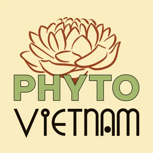 Phyto Vietnam, Logotype Phyto Vietnam, Logotype